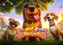 The Big Dog House